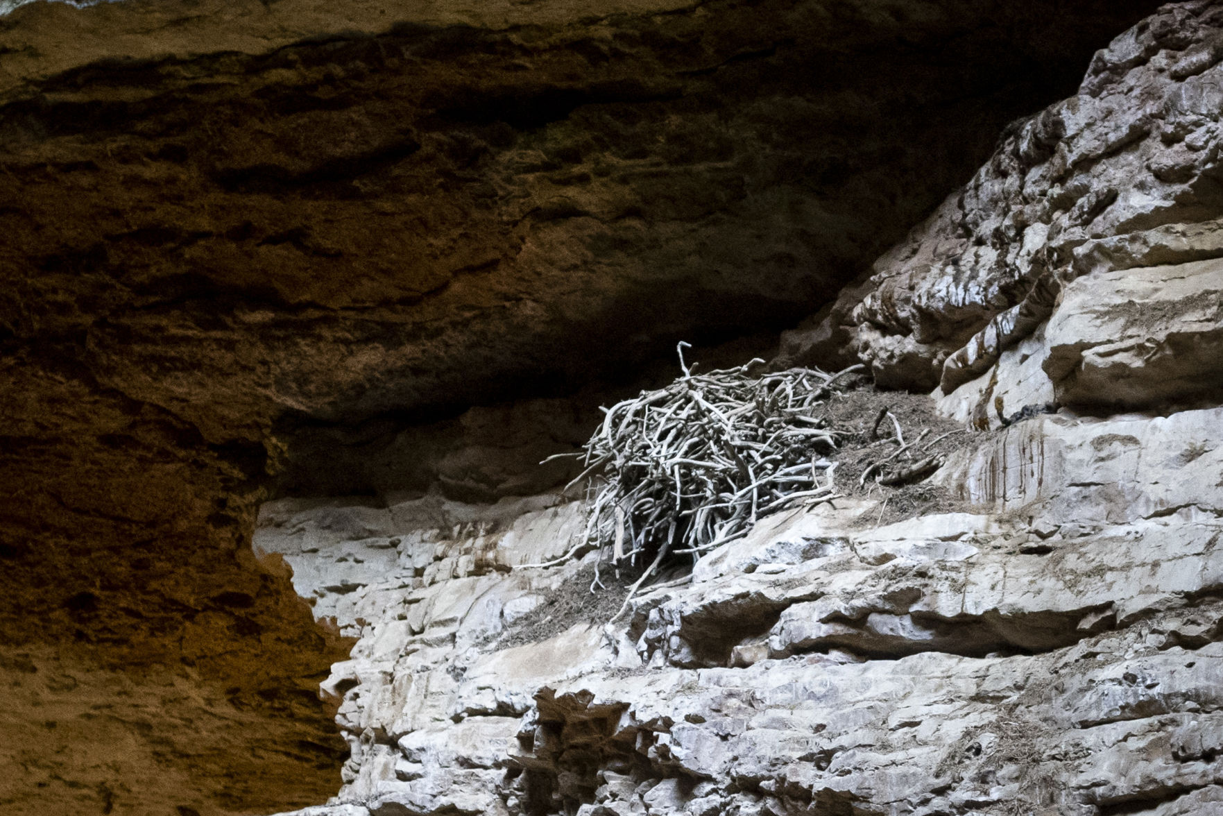 Natural Trap Cave